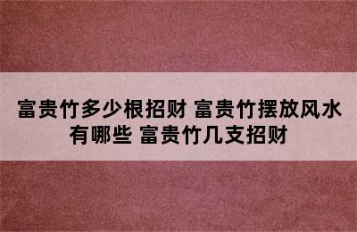 富贵竹多少根招财 富贵竹摆放风水有哪些 富贵竹几支招财